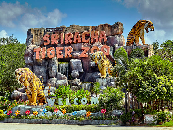 Công viên Sriracha Tiger Zoo 