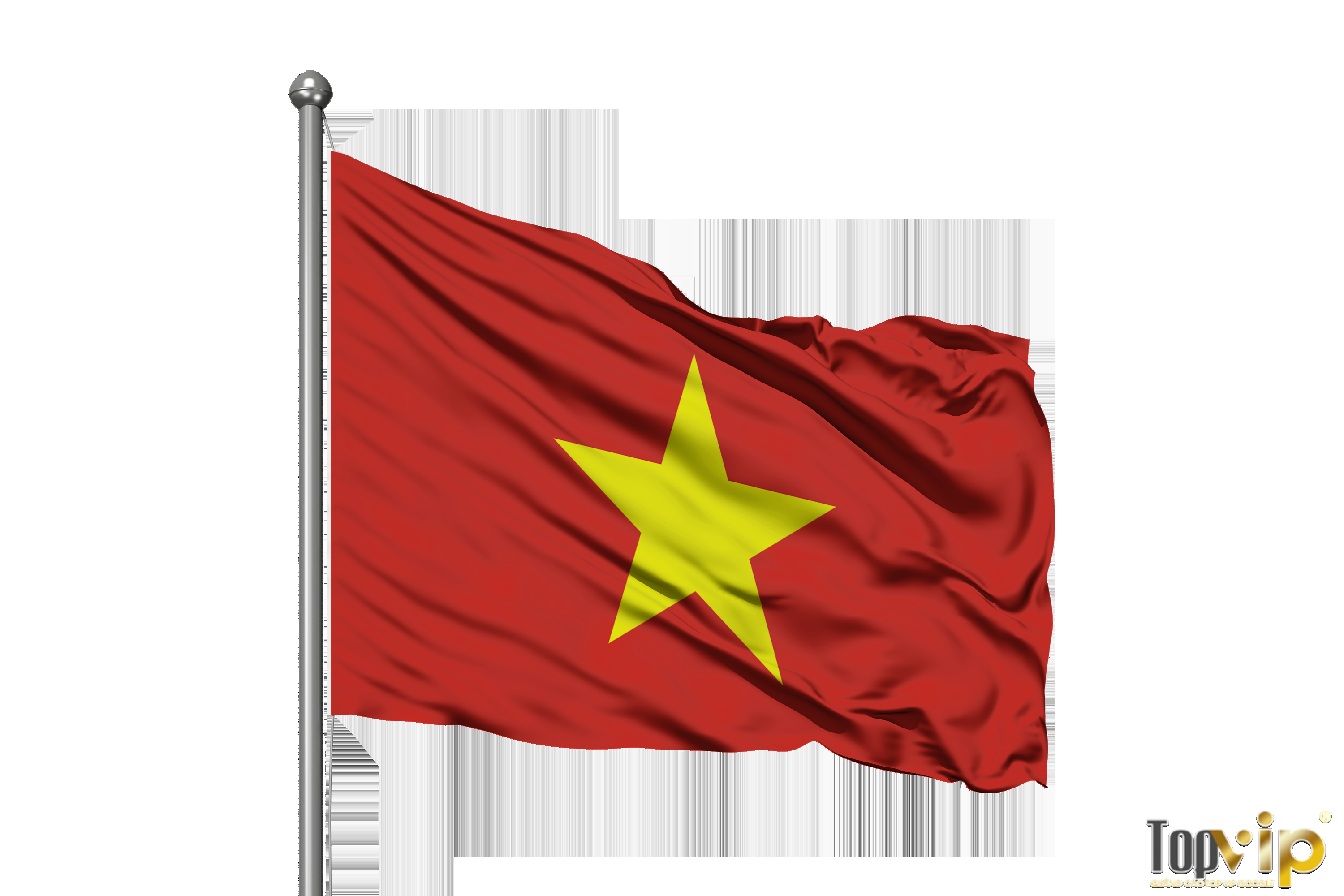 Nhận may cờ in logo theo yêu cầu tại HCM