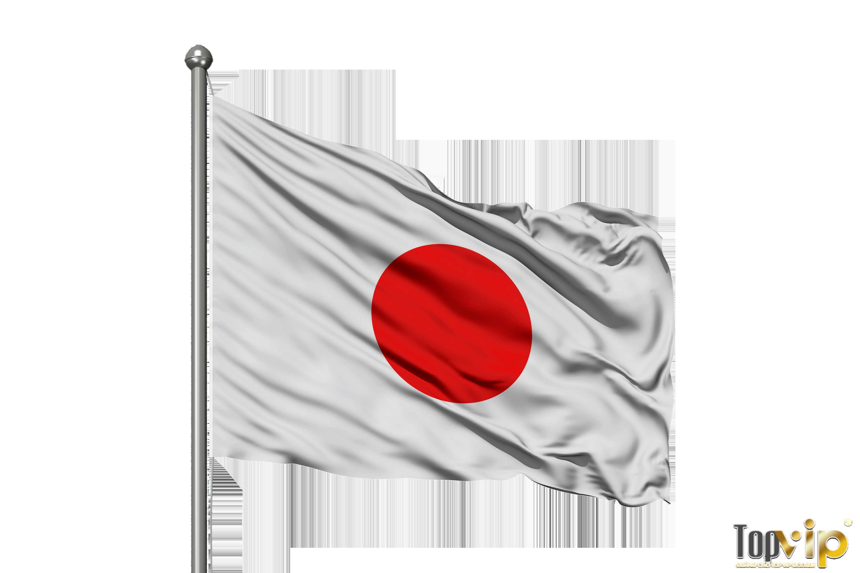 Nhận may cờ in logo theo yêu cầu tại HCM