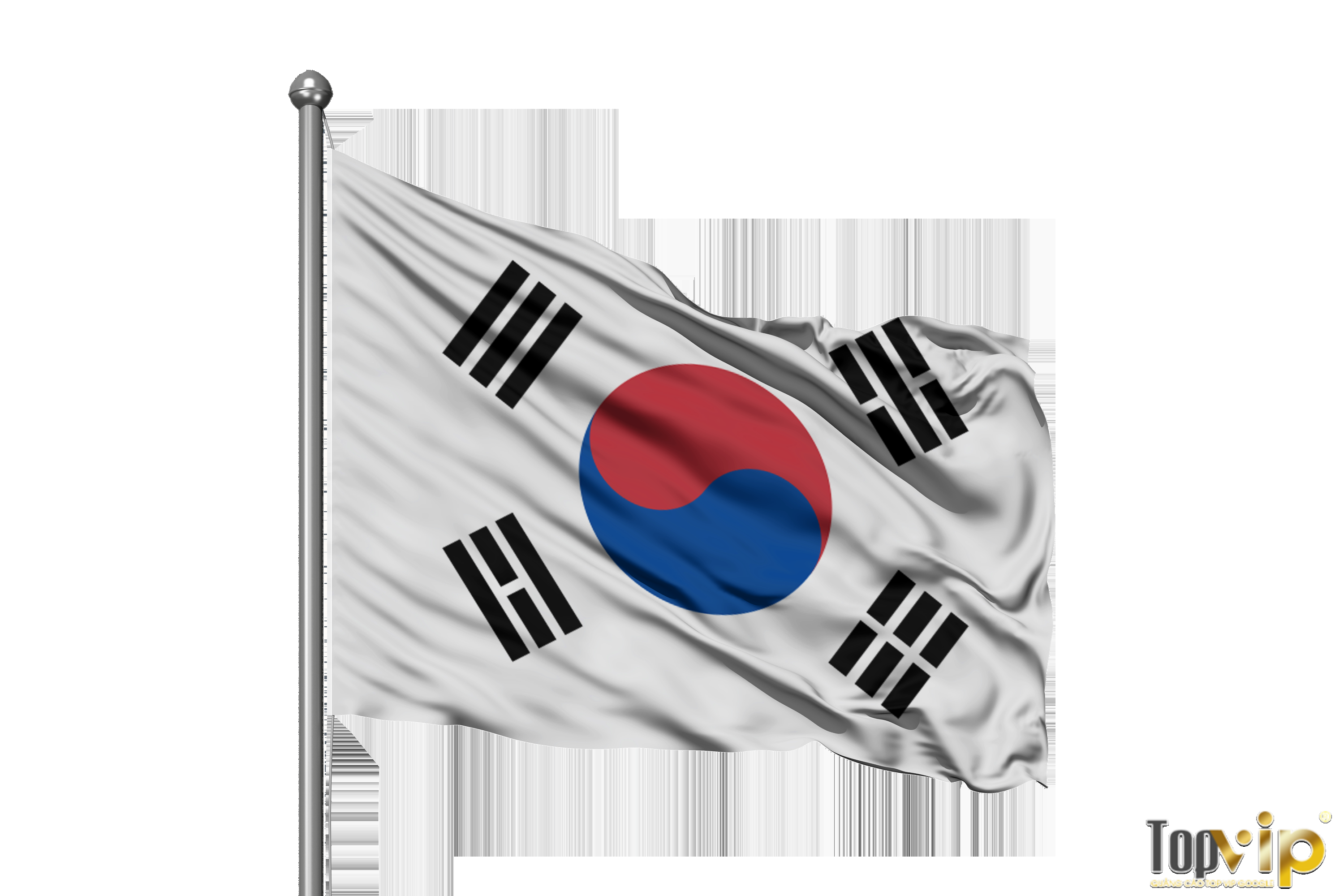 Nhận may cờ in logo theo yêu cầu tại HCM