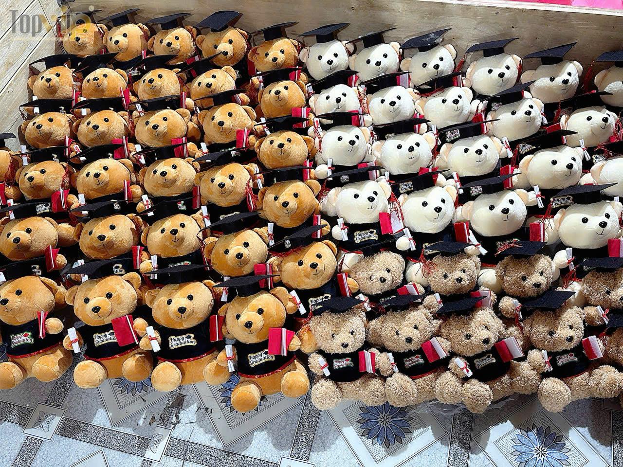 XƯỞNG MAY GẤU BÔNG TỐT NGHIỆP GIÁ SỈ – GIA CÔNG THEO YÊU CẦU, GIÁ XUẤT XƯỞNG